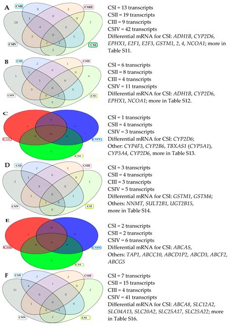 Transcriptional Activity of Genes Related to the Biotransformation ...
