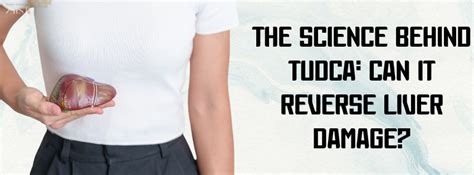 The Science Behind TUDCA: Can It Reverse Liver Damage? – Ziist