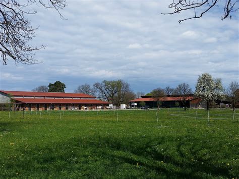 KinderKino 2018 - Wendy Der Film - Lauterach | VOL.AT