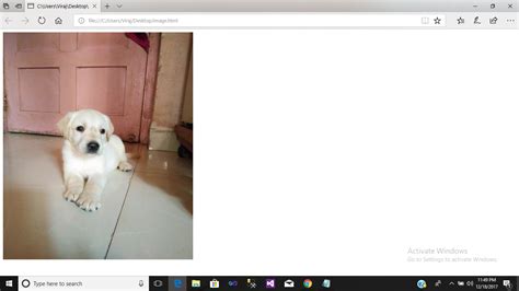 Image result for How to Use IMG Tag in HTML