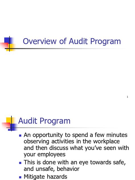 Image result for Security Audit Program