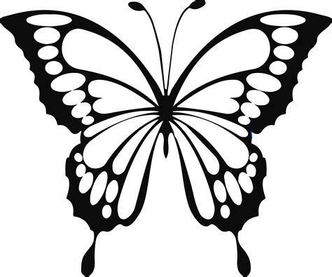 Free Butterfly SVG Files | | Easy Butterfly Drawing, Butterfly Outline ...