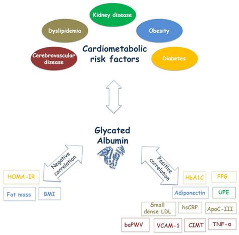 Recent Updates and Advances in the Use of Glycated Albumin for the ...