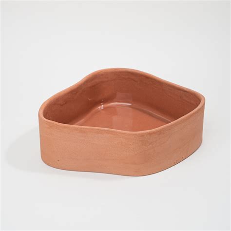 Buy Stylish Pawsome Bowl Carrot Large | Online in India | Lagavi