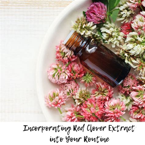 Revitalizing Skin with Red Clover Extract | Clinikally