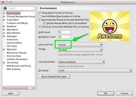 Image result for Oracle SQL Developer Change Background Color
