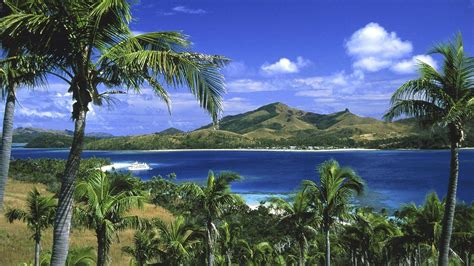 Fiji ImageJ Download 的图像结果