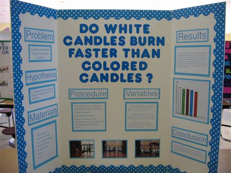 Image result for Science Fair Project Examples
