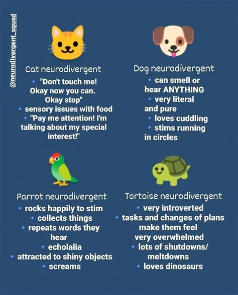 Types of stimming infographic – Artofit