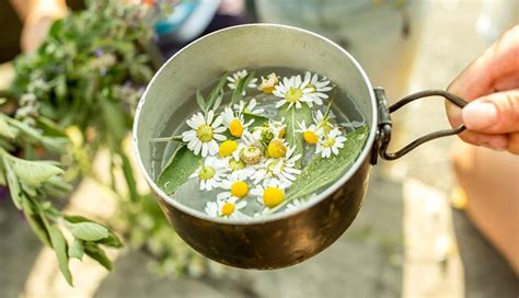 12 Home Remedies That Help in Abortion - lifeberrys.com