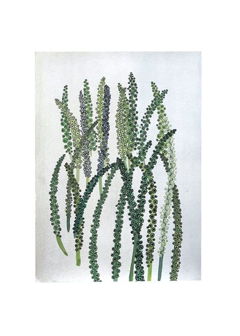 Get Indian Pokeweed Wall Art at ₹ 7100 | LBB Shop