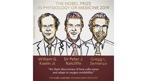 Nobel Prize For Medicine Awarded To 3 Scientists For Showing How Oxygen ...