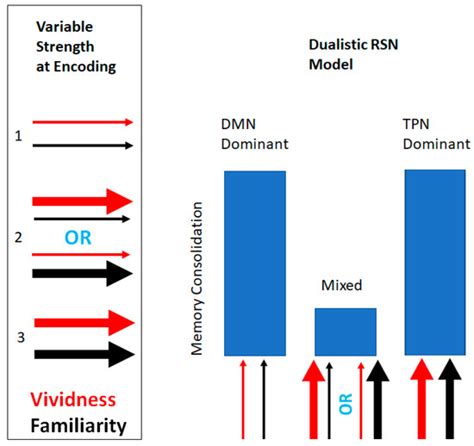 Imagery-Mediated Verbal Learning Depends on Vividness–Familiarity ...
