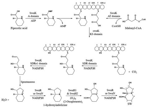 Biomolecules | An Open Access Journal from MDPI