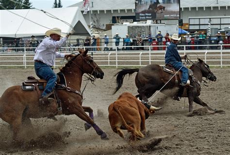 Image result for Team Roping Rodeo