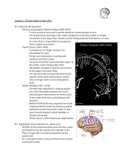 Image result for 4th Sem Cortex-M0 Overview Unit 1