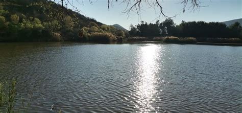 IZINKWE LODGE (Groblersdal) - Lodge Reviews & Photos - Tripadvisor