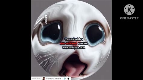 Image result for Cat Vocoder