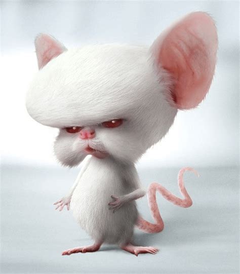 Image result for FR Cortex