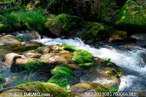秋季小溪流水高清图片下载-正版图片307963538-摄图网