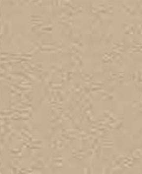 Greenlam 1140 SUD Beige Designer Laminate | Next Level Decor – Next ...