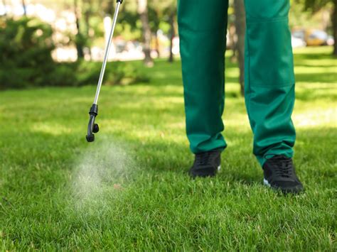 Professional Weed Control Services in Queensland | All Grass Solutions