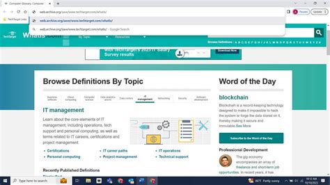 Image result for WayBackMachine Website