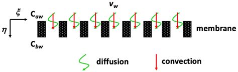 Two-Dimensional Theoretical Analysis and Experimental Study of Mass ...