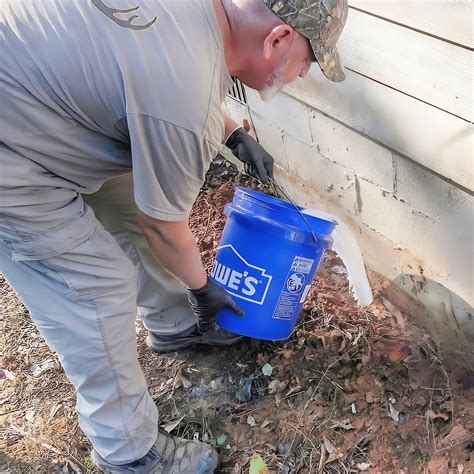 How to DIY Termite Treatment