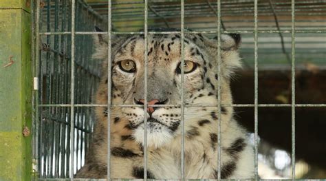 THRIGBY HALL WILDLIFE GARDENS (2025) All You Need to Know BEFORE You Go ...