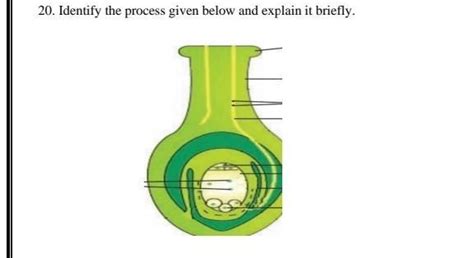 Identify the diagram - Brainly.in