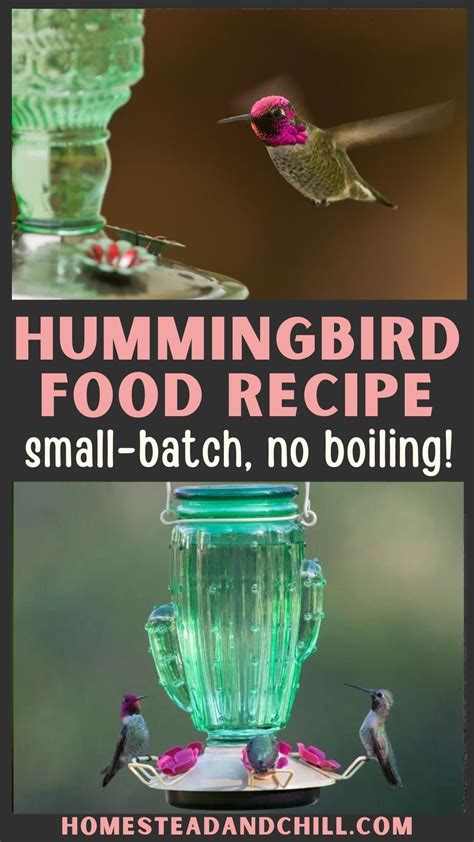 Hummingbird food – Artofit