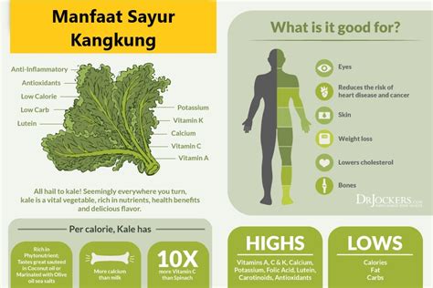 manfaat sayur kangkung