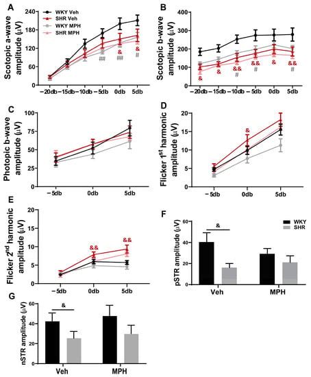 Attention-Deficit/Hyperactivity Disorder Animal Model Presents Retinal ...