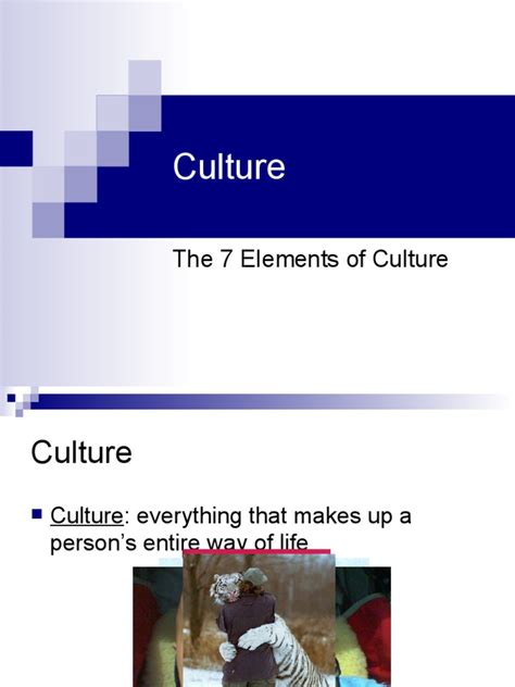 Culture Elements 的图像结果