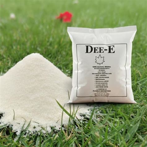 DEE-E Diatomaceous Earth Powder | 100% Pure Natural Organic | Indoor ...
