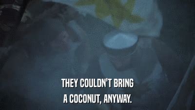 Image result for Monty Python Coconuts GIF