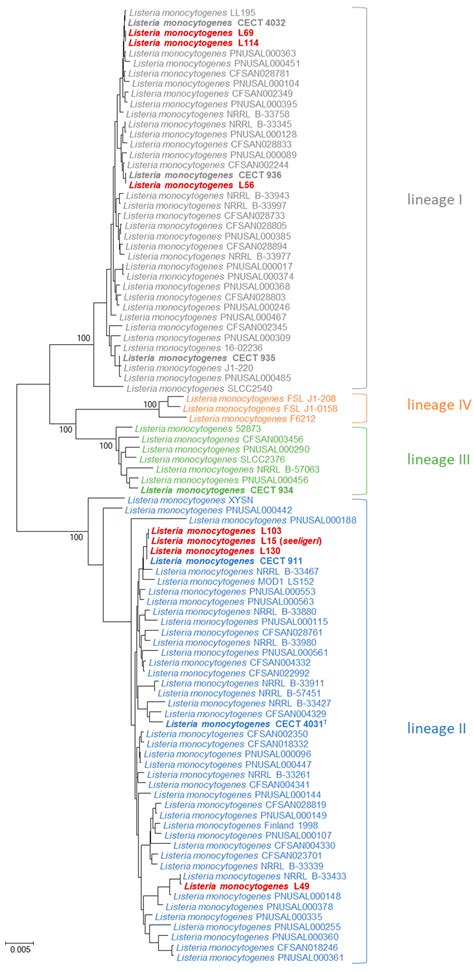 Identification of Listeria Isolates by Using a Pragmatic Multilocus ...