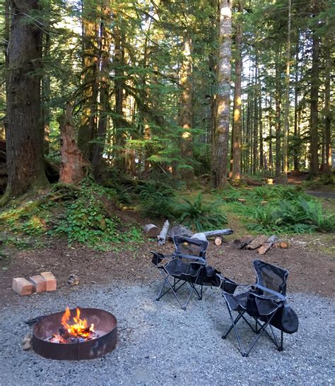 Seal Rock Campground in Olympic National Forest, Washington: Reviews ...