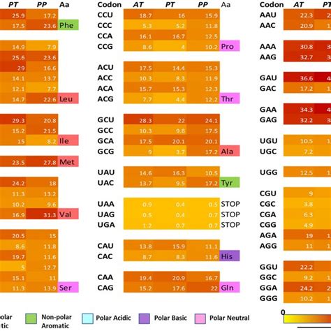 Image result for Codon Bias
