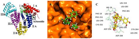 Interactions of Bovine Serum Albumin with Anti-Cancer Compounds Using a ...