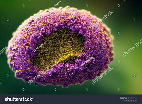 Pollen Under Microscope Allergy Season Hay Stock Illustration ...