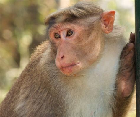 Adventure of a different kind in kerala, southern india with # ...