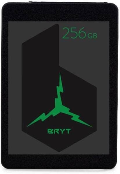 BRYT SATA 256 GB Laptop Internal Solid State Drive (SSD) (256 SSD ...