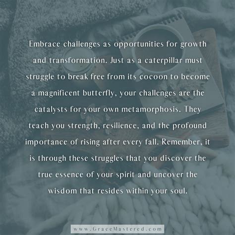 Challenges 的图像结果