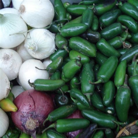 LA CASA DE LOS SABORES COOKING SCHOOL (2024) All You Need to Know ...