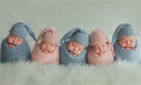 三胞胎及更多胎的形成 - 知乎