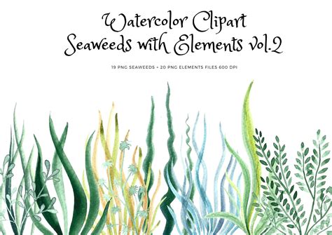 Sea Weeds Clipart