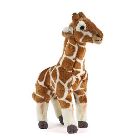 LIVING NATURE Giraffenjunges | LivingNature Switzerland