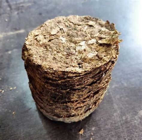 Aggarwal International - Manufacturer of biomass briquettes & biomass ...